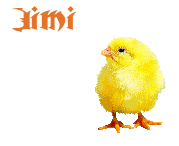 Naamanimaties Jimi 