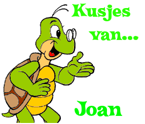 Naamanimaties Joan 