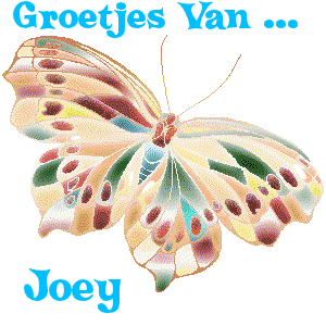 Naamanimaties Joey 