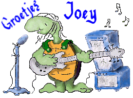 Naamanimaties Joey 