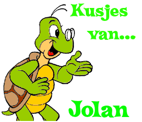 Naamanimaties Jolan Kusjes Van Een Verliefde Schildpad Jolan