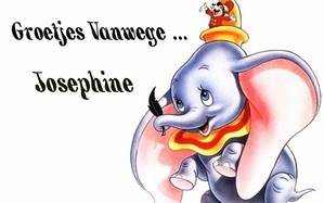 Naamanimaties Josephine 