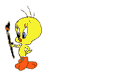 Naamanimaties Joy 