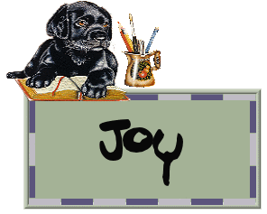 Naamanimaties Joy 