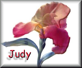 Naamanimaties Judy 