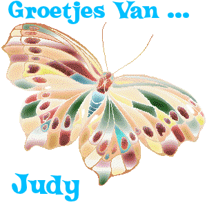 Naamanimaties Judy 