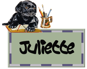 Naamanimaties Juliette 