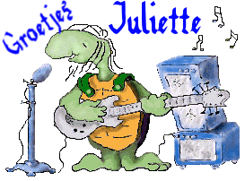Naamanimaties Juliette Schildpad Die Gitaar Speelt
