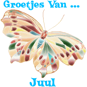 Naamanimaties Juul 