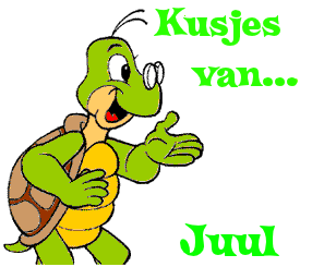 Naamanimaties Juul 