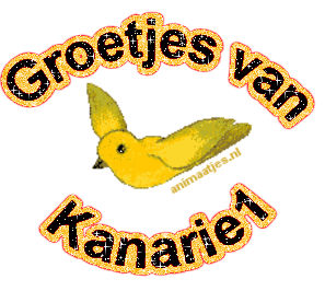Kanarie Naamanimaties 