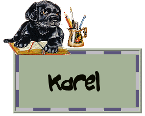 Naamanimaties Karel 