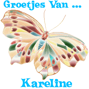 Naamanimaties Kareline 