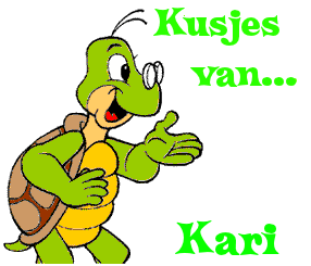 Naamanimaties Kari 