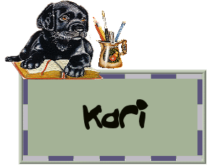 Naamanimaties Kari 