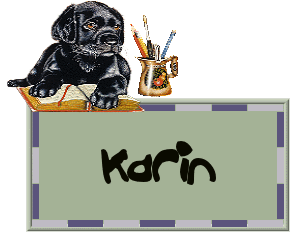 Naamanimaties Karin 