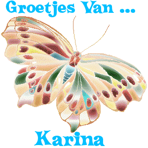 Naamanimaties Karina 