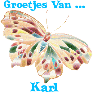 Naamanimaties Karl 