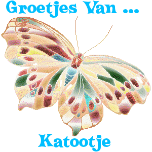 Naamanimaties Katootje 