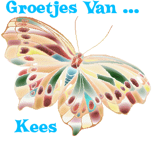 Naamanimaties Kees 