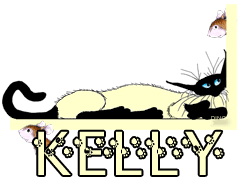 Naamanimaties Kelly Kelly Poes En Muis