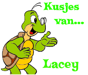 Naamanimaties Lacey 