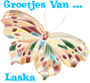 Naamanimaties Laska 