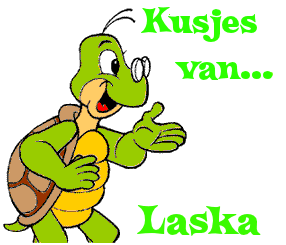Naamanimaties Laska 