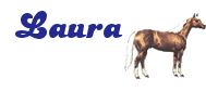 Naamanimaties Laura 