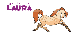Naamanimaties Laura 