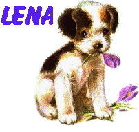 Naamanimaties Lena 