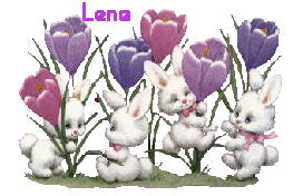 Naamanimaties Lena 