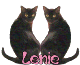 Naamanimaties Lenie 