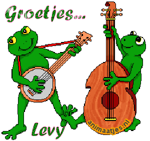 Naamanimaties Levy 