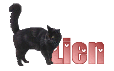 Naamanimaties Lien 