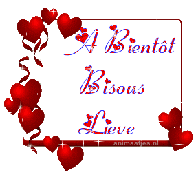 Lieve Naamanimaties 