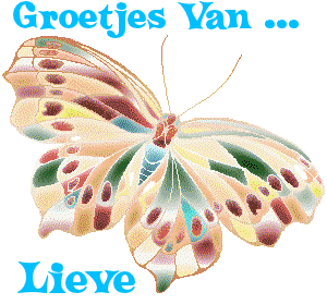 Lieve Naamanimaties 