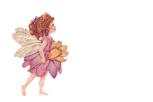 Naamanimaties Liliane 