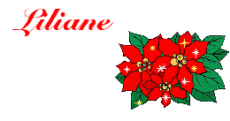 Naamanimaties Liliane 