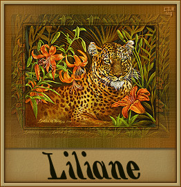 Naamanimaties Liliane 