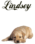 Naamanimaties Lindsey 