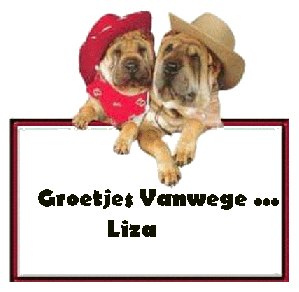 Naamanimaties Liza 
