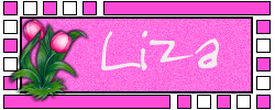 Naamanimaties Liza 