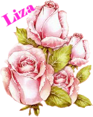 Naamanimaties Liza 