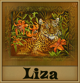 Naamanimaties Liza 