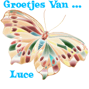 Naamanimaties Luce 