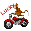 Naamanimaties Lucky 