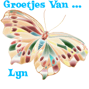 Naamanimaties Lyn 