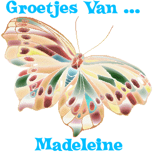 Naamanimaties Madeleine 