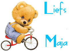 Naamanimaties Maja 